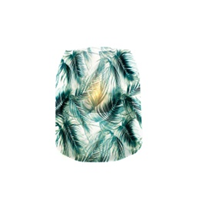 [LUM-3060] Fronz Luminoso Kit